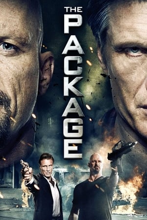 The Package (2013) Hindi Dual Audio [750MB] HD Poster Download - filmyfly