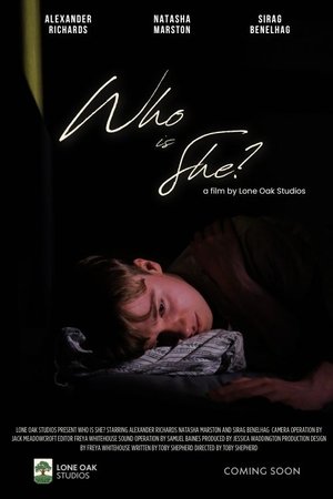 Who is She? (2025) Hindi (MULTI AUDIO) – – HD Poster Download - filmyfly